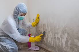 Best Mold Odor Removal Services  in Grayson Vley, AL